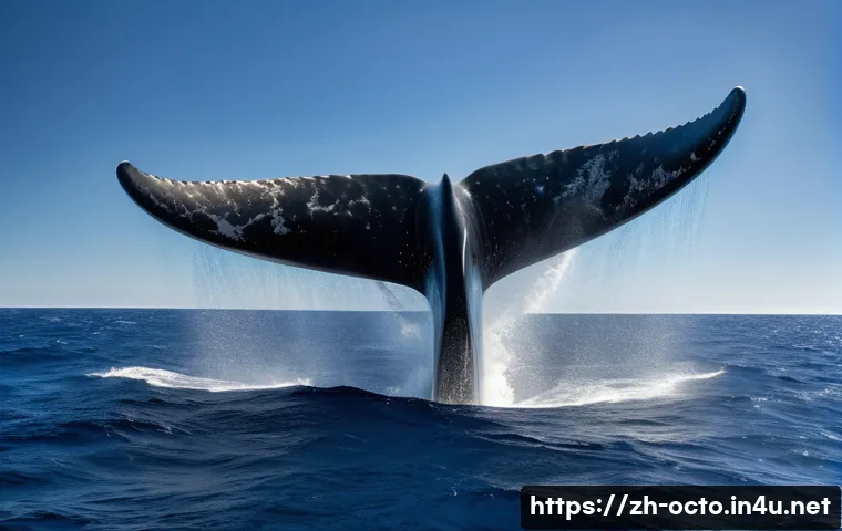 옥토넛 등장 동물의 생태 정보 - A majestic adult sperm whale gracefully descends into the deep blue ocean. Subtle, shimmering sound ...
