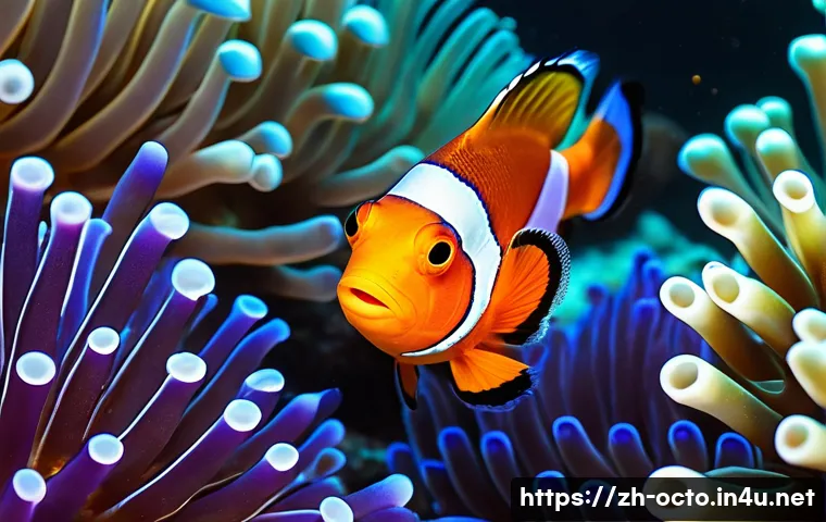 옥토넛 등장 동물의 생태 정보 관련 이미지 1