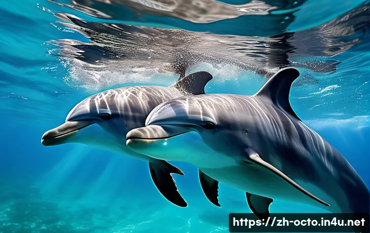 《海底小纵队》动物伙伴的真实生态:你绝对想不到的海洋奇闻! 4 옥토넛 등장 동물의 생태 정보 관련 이미지 2