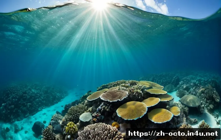 옥토넛 주요 탐험 지역의 실제 모습 - Photorealistic wide-angle view of a vibrant tropical coral reef in shallow clear ocean water, colorf...
